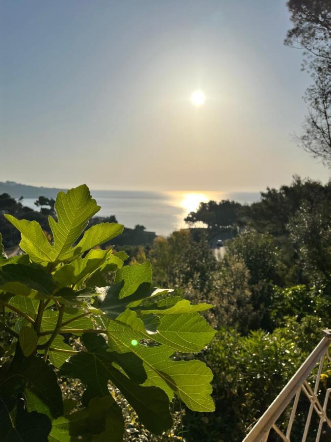 Вілла Limonaia In Salento Маріттіма Екстер'єр фото