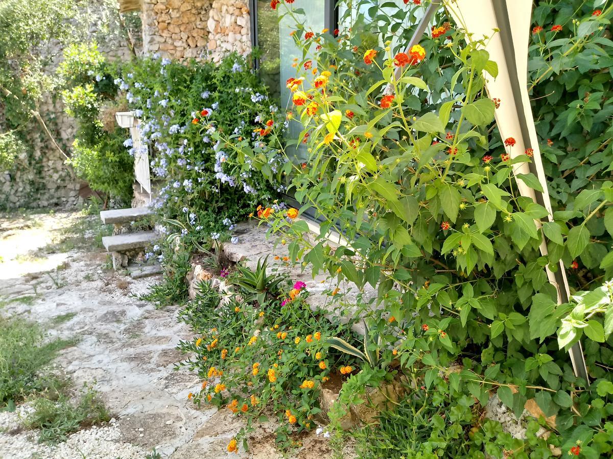 Вілла Limonaia In Salento Маріттіма Екстер'єр фото